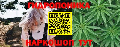 кокс Кандалакша