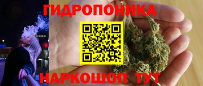 кокс Кандалакша