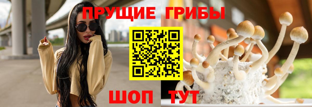 Псилоцибиновые грибы Cubensis  Вход с VPN  Галлюциногенные грибы мицелий  Ликино-Дулёво 